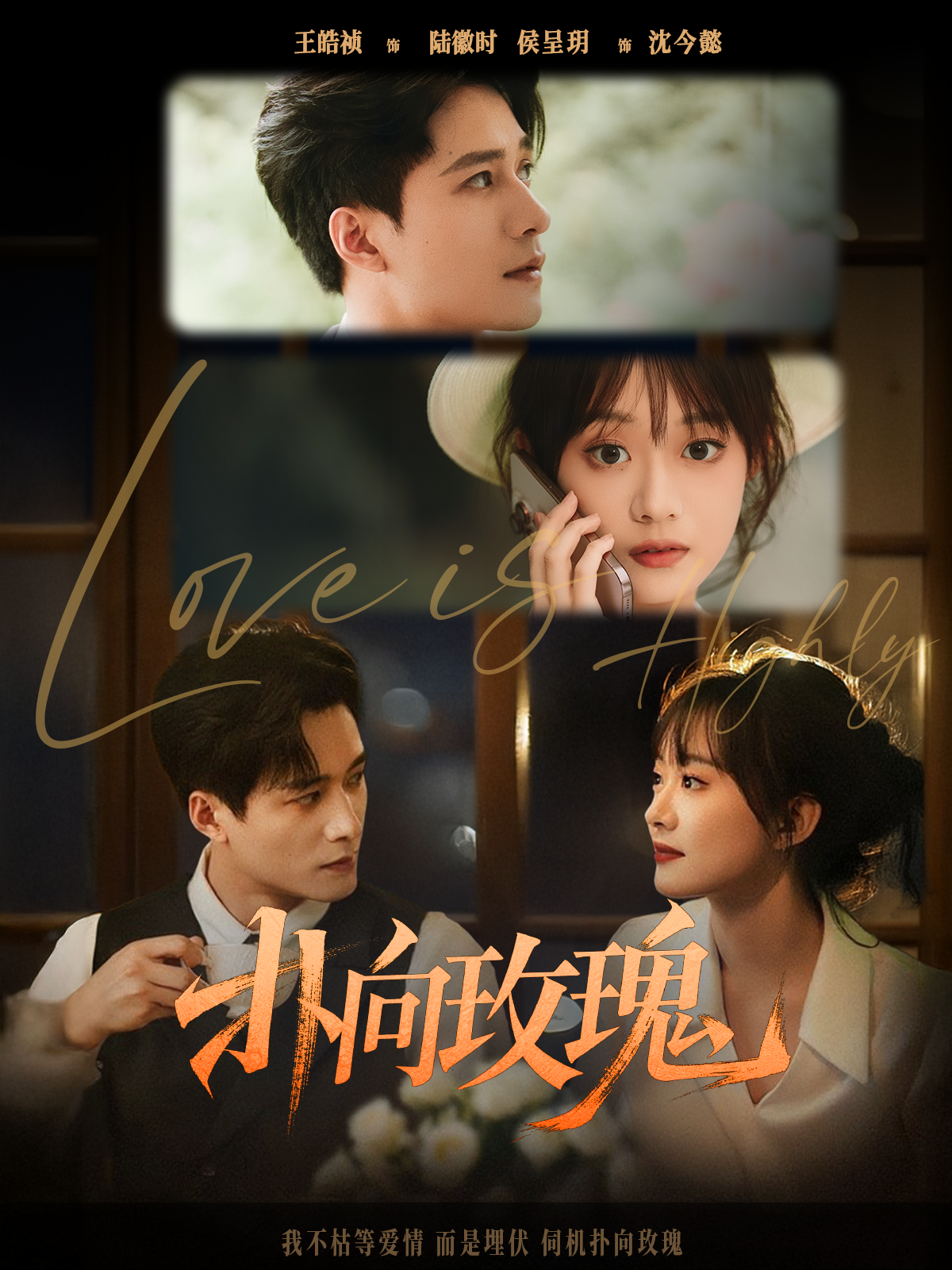 撲向玫瑰