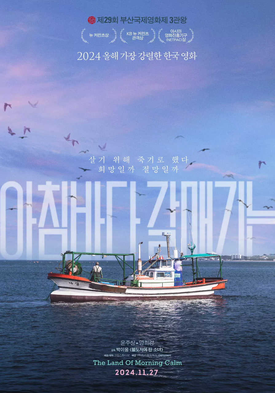 晨海的海鷗